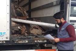 ترانزیت 22 تن پوست خام گاوی از طریق پایانه مرزی لطف آباد با نظارت دامپزشکی درگز